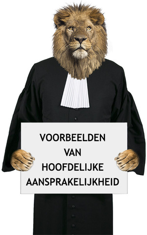 hoofdelijke aansprakelijkheid vennootschap