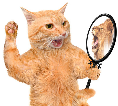 jurist huurrecht vacature