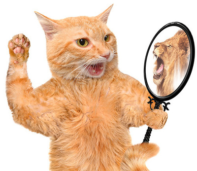 studentstage advocatenkantoor Rotterdam